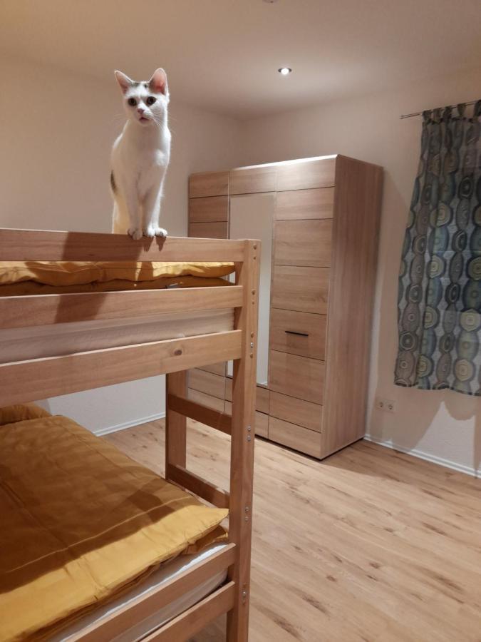 Appartement Traubshof à Ochsenhausen Extérieur photo